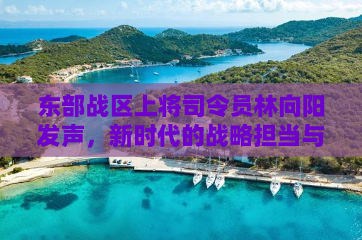 东部战区上将司令员林向阳发声，新时代的战略担当与军事力量展现