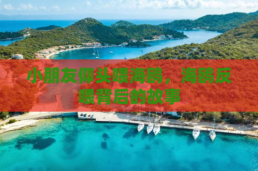 小朋友仰头喂海鸥，海鸥反喂背后的故事