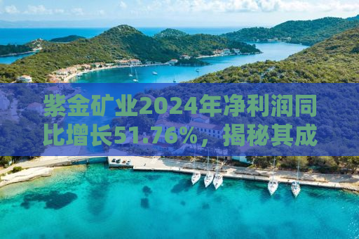 紫金矿业2024年净利润同比增长51.76%，揭秘其成功背后的因素与未来展望